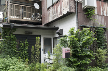 雑草が生い茂る放置された空き家の外観
